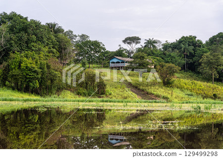 River boat trip at Parana do Mamori in the Amazon rainforest about 100 km south of Manaus in Brazil 129499298
