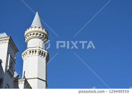 Image of the side tower of Swan Castle Image of the side tower of Swan Castle 129499559