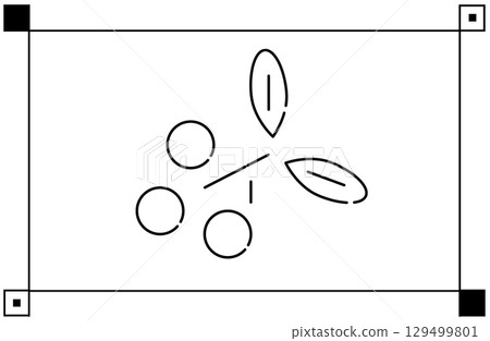 南天竹葉和果實的單色線條插圖 129499801