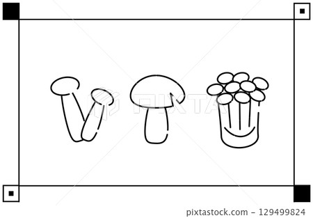Simple illustrations of shimeji, shiitake and enoki mushrooms Simple illustrations of shimeji, shiitake and enoki mushrooms 129499824
