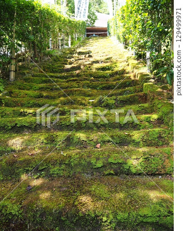 寺廟裡的苔蘚樓梯 寺廟裡的苔蘚樓梯 129499971