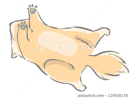 顯示睡覺狗的胃 129500170