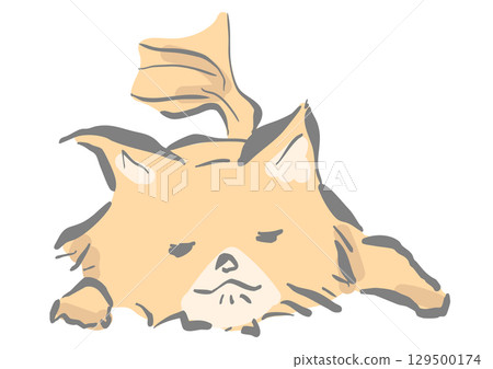 小狗睡覺 129500174