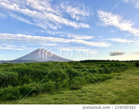 Grassland and Mt. Fuji shining against the summer sky 129500382