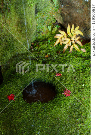 秋葉的新教徒Benzaiten 秋葉的新教徒Benzaiten 129500617