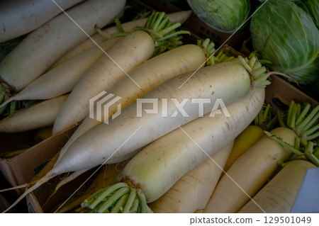 Japanese radish radish Japanese radish radish 129501049