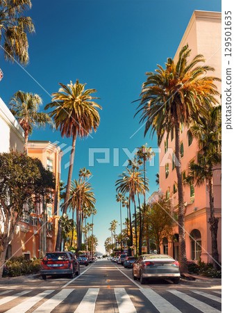 街景讓人想起洛杉磯的高級住宅區 129501635