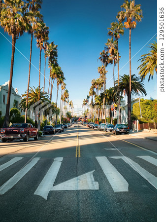 街景讓人想起洛杉磯的高級住宅區 129501636