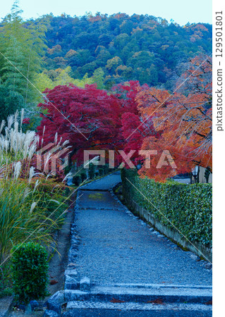 Ogurayama and the Autumn Foliage Trail Ogurayama and the Autumn Foliage Trail 129501801