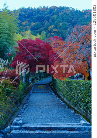 小倉山和紅葉步道 129501802