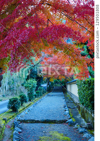 Ogurayama and the Autumn Foliage Trail Ogurayama and the Autumn Foliage Trail 129501808