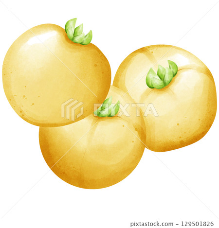 Illustration of tomatos watercolor style. 129501826