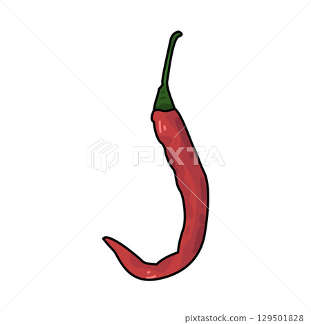illustration of red chili pepper illustration of red chili pepper 129501828