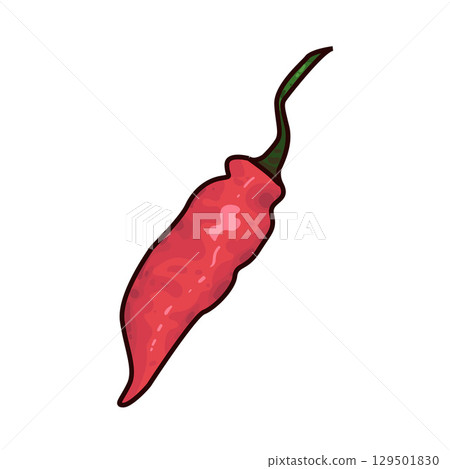 illustration of chili illustration of chili 129501830