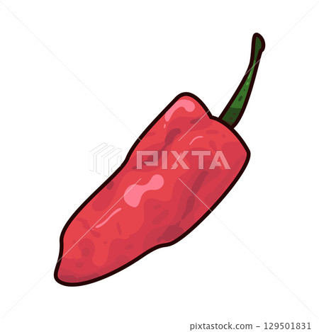 illustration of chili 129501831
