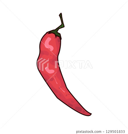 illustration of chili illustration of chili 129501833