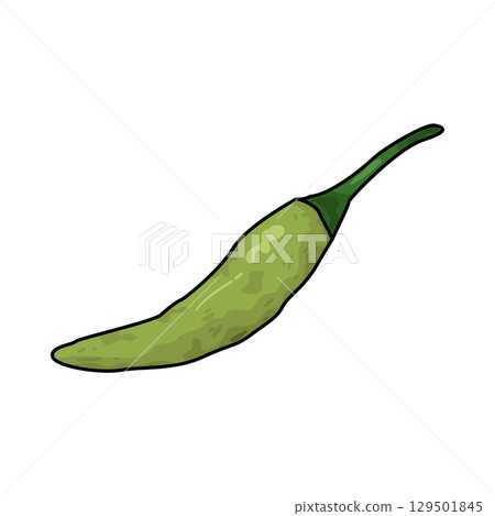 illustration of green chili 129501845