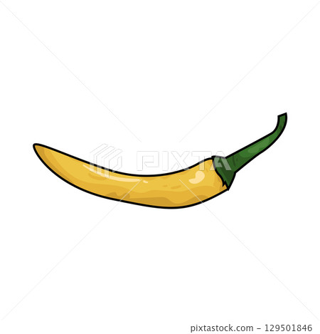 illustration of yellow chili illustration of yellow chili 129501846