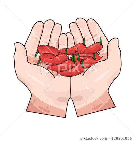 illustration of hand holding chili 129501996