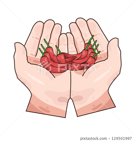 illustration of hand holding chili 129501997