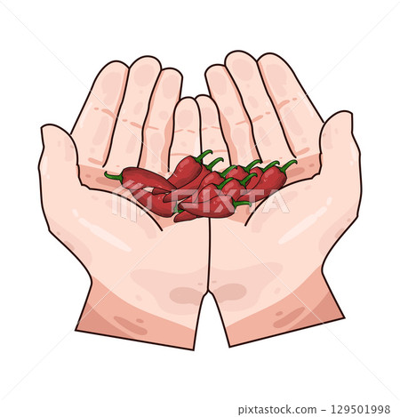 illustration of hand holding chili illustration of hand holding chili 129501998