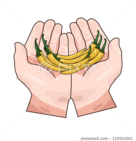 illustration of hand holding chili 129502001