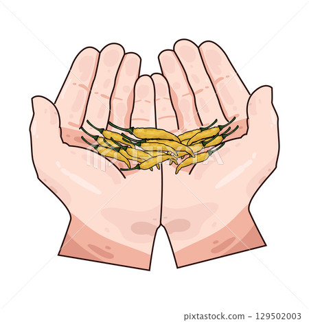 illustration of hand holding chili 129502003