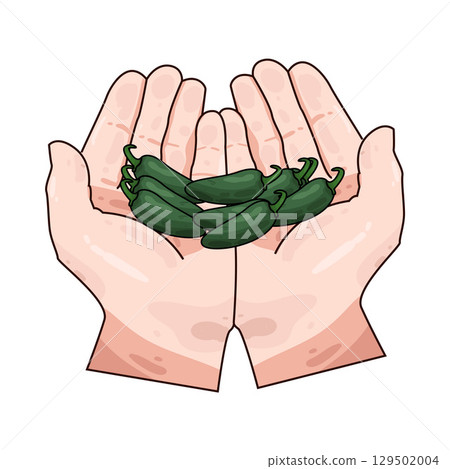 illustration of hand holding chili illustration of hand holding chili 129502004
