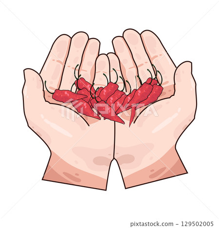 illustration of hand holding chili illustration of hand holding chili 129502005
