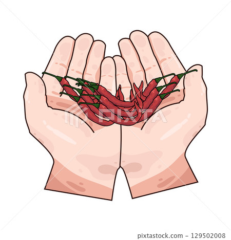illustration of hand holding chili 129502008