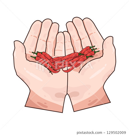 illustration of hand holding chili 129502009