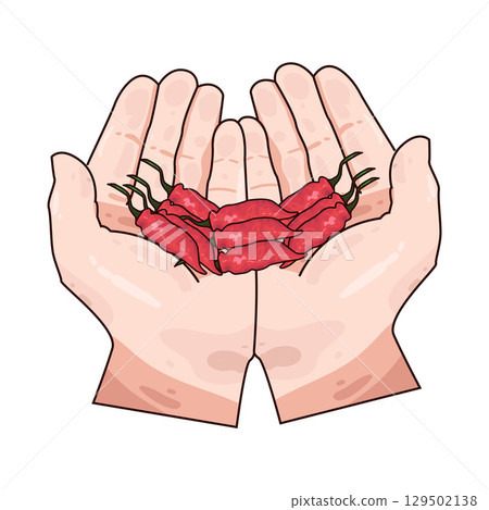illustration of hand holding chili illustration of hand holding chili 129502138