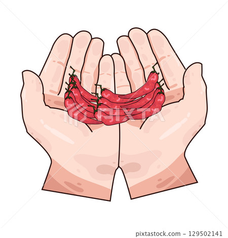 illustration of hand holding chili  129502141