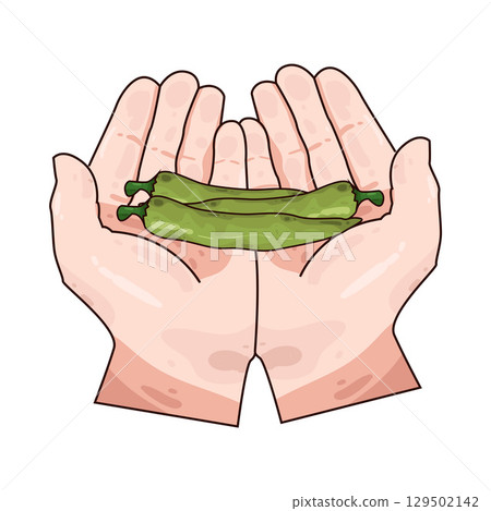illustration of hand holding chili  129502142