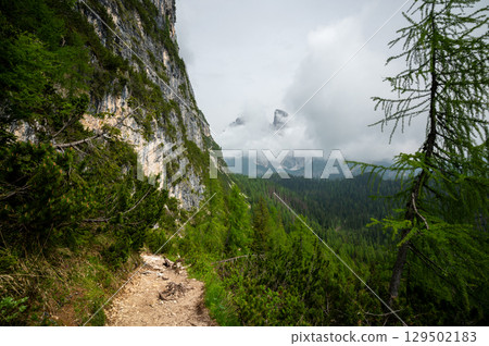 Mountain trail in the Dolomites (Dolomiti, Dolomiten), Italy, leading to Lago Sorapis. The path winds along rocky slopes with stunning views of valleys, forests, and peaks 129502183
