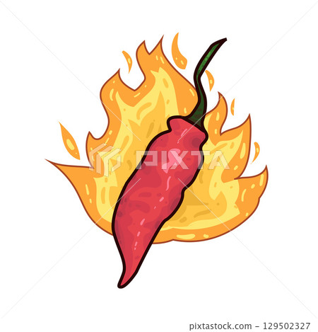 illustration of hot chili with fire illustration of hot chili with fire 129502327