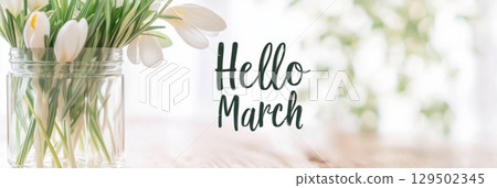 Hello March text greeting with snowdrops for seasonal background banner 129502345