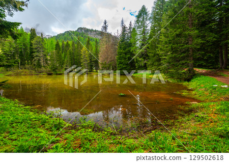 Lago Bain de Dones in the Dolomites (Dolomiti, Dolomiten), Italy. A serene alpine lake surrounded by lush forests and towering mountain peaks, reflecting the stunning natural landscape 129502618
