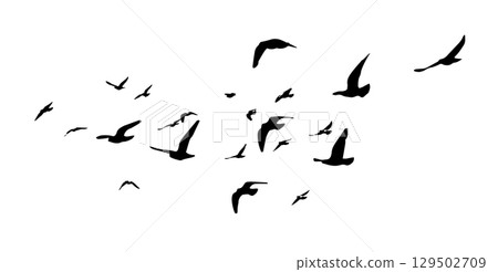 Flying birds silhouettes on white background. Vector illustration. isolated bird flying. tattoo design. Flying birds silhouettes on white background. Vector illustration. isolated bird flying. tattoo design. 129502709