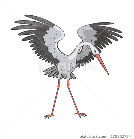 Crane bird in realistic style, high quality detail. Vector illustration 129502754