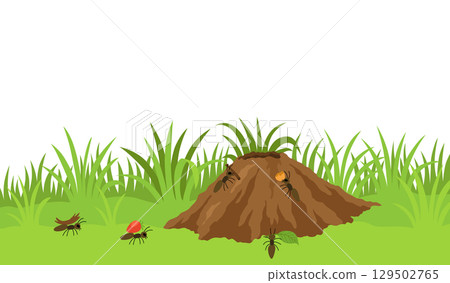 An anthill. Ants in burrows and passages with queen uterus, larvae, make stocks, a slice of the earth of the anthill. Vector drawn illustration. An anthill. Ants in burrows and passages with queen uterus, larvae, make stocks, a slice of the earth of the anthill. Vector drawn illustration. 129502765