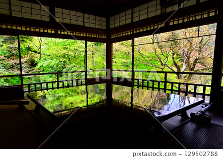View from the Shoin of Ruriko-in Temple View from the Shoin of Ruriko-in Temple 129502788