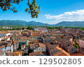 Panoramic view of Lucca, Italy, with red brick rooftops and historic churches seen from above. Tuscan hills and mountains form a stunning summer backdrop under a clear blue sky. 129502805