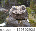 箱根蛙山間漫步 129502928