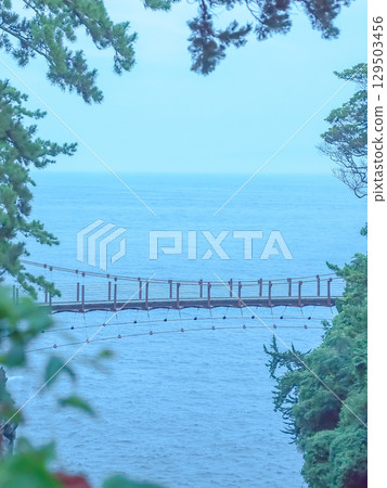 Suspension bridge seen through the trees 129503456