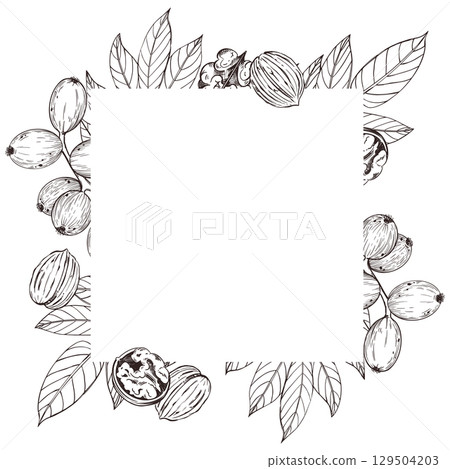 Square frame of walnut tree leaves and walnut fruits, all objects hand-drawn with ink. Vector illustration for printing on packaging of goods, food, for label design. Vector illustration 129504203