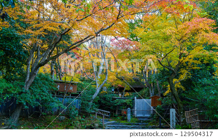 祗園寺的參道被秋葉籠罩 祗園寺的參道被秋葉籠罩 129504317