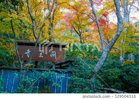 祗園寺的參道被秋葉籠罩 祗園寺的參道被秋葉籠罩 129504318