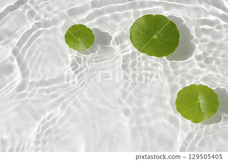 Green centella leaves floating gently in clear rippling water. 129505405