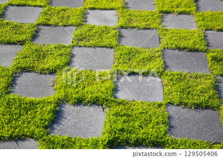 Patterned grass and concrete walkway forming a checkerboard design in outdoor sunlight. 129505406